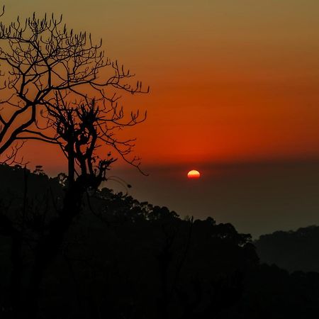 Stayvista At Sunset Springs With Pool & Views Nainital Buitenkant foto